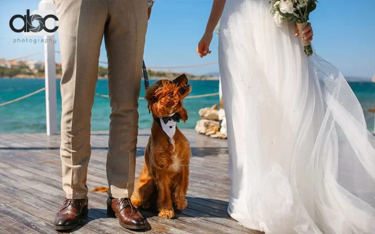 A wedding couple having their photoshoot with their dog