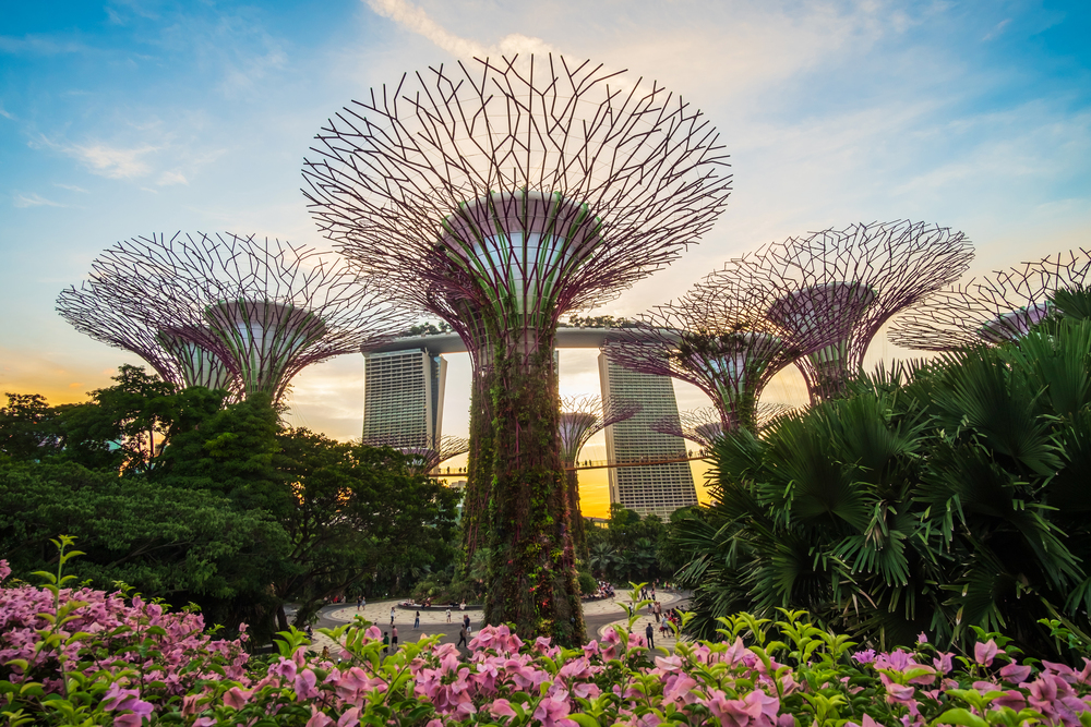 Gardens by the Bay